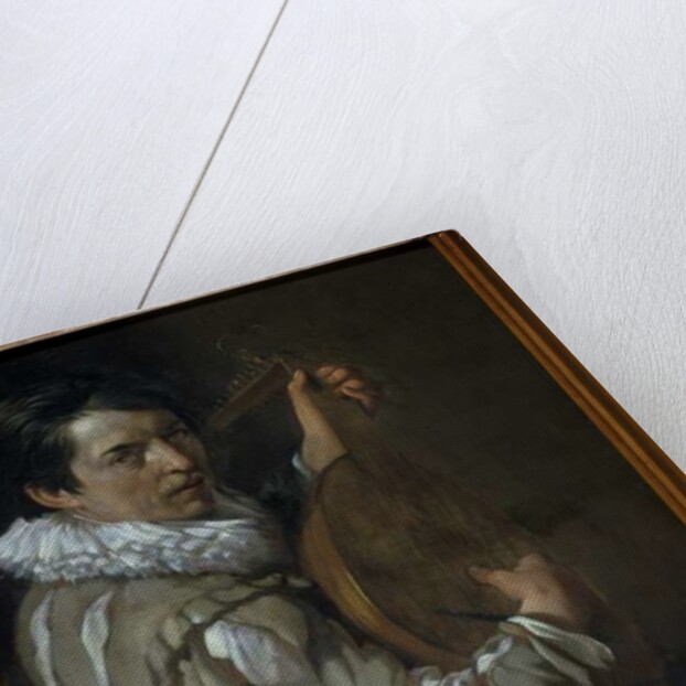 The Lute Player by Arie de Vois