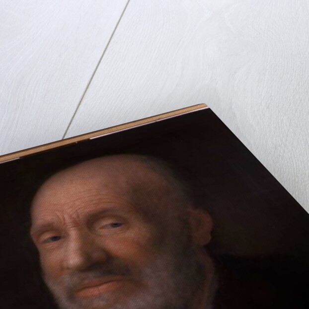 Portrait of an old man by Balthasar Denner