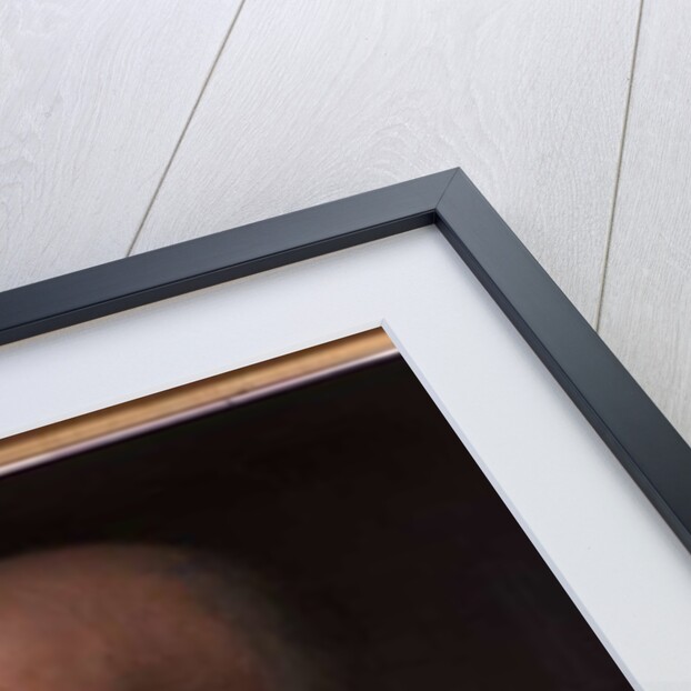 Portrait of an old man by Balthasar Denner