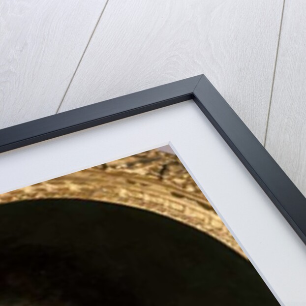 Louis XIV as Dauphin by Joseph Vivien