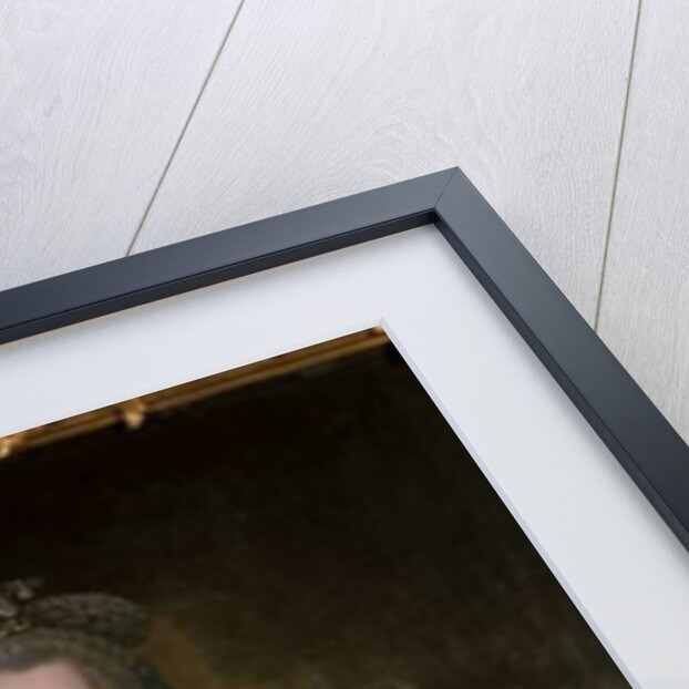 Old woman wearing a lace shawl and muff by German School