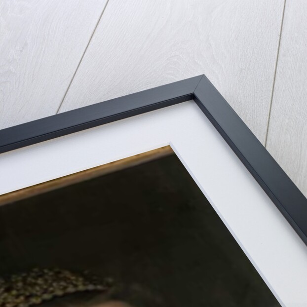 Agnes, Countess of Mansfeld by German School