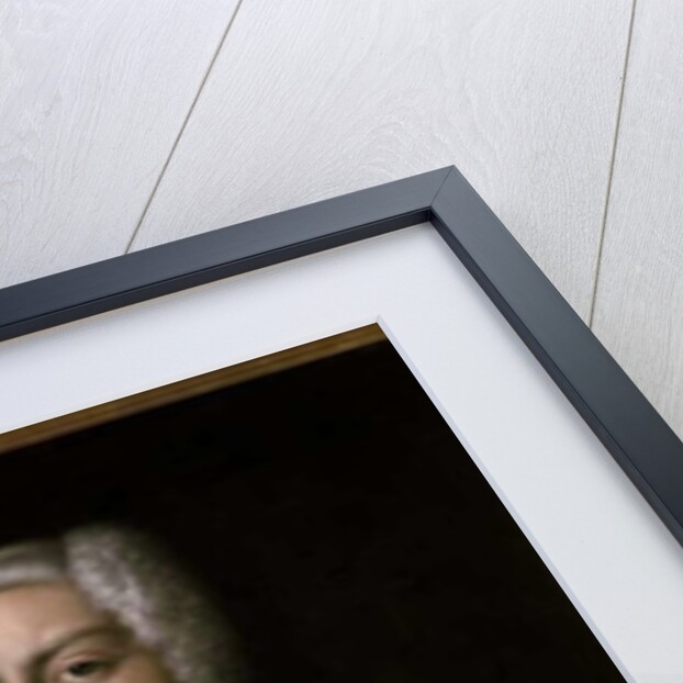 Prince William by German School