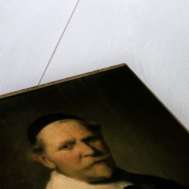 Portrait of an old man by Ferdinand Bol