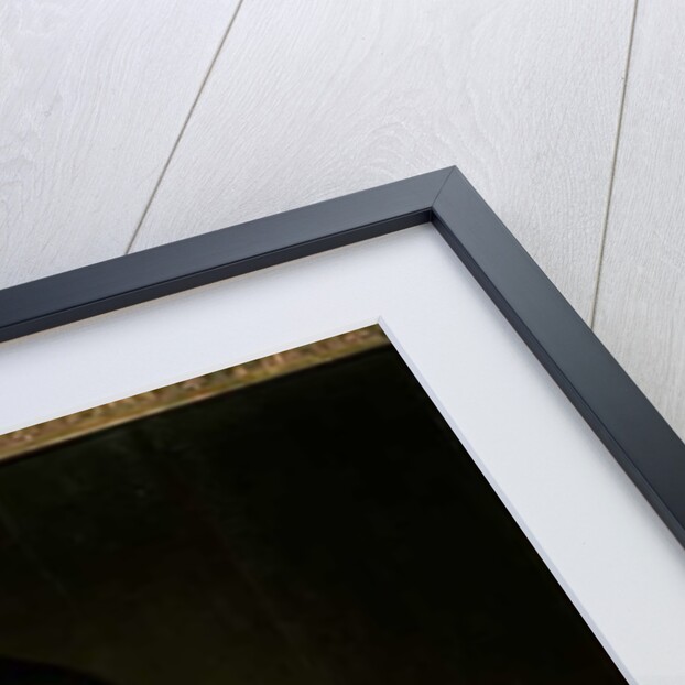 Portrait of an old man by Ferdinand Bol