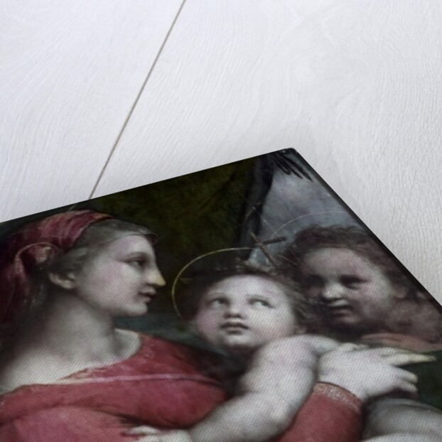 Madonna della Tenda, c.1512 by Raphael (1483-1520)