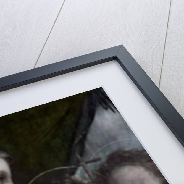 Madonna della Tenda, c.1512 by Raphael (1483-1520)