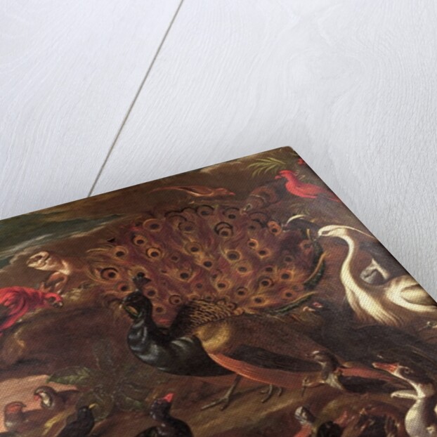 The Birds and the Beasts by Jacob van der (1637-1712) Kerckhoven