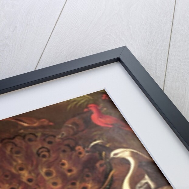 The Birds and the Beasts by Jacob van der (1637-1712) Kerckhoven