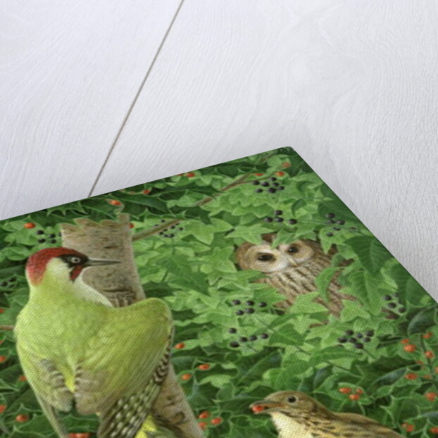 Woodpecker, Owl and Thrush by Birgitte Hendil