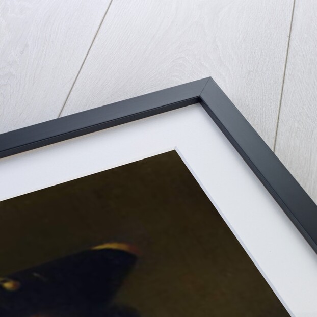 Portrait of Charles Lee Lewis by Nathaniel Hone