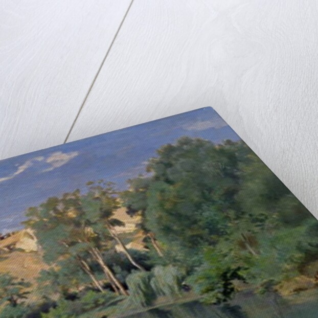 Wooded Landscape with a Pond, c.1830's by Jean Baptiste Camille Corot