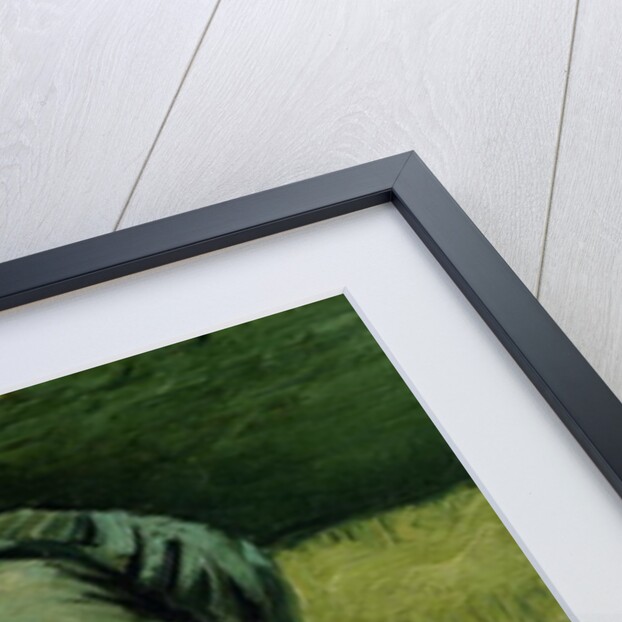 Peasant Woman Digging, 1885 by Vincent van Gogh