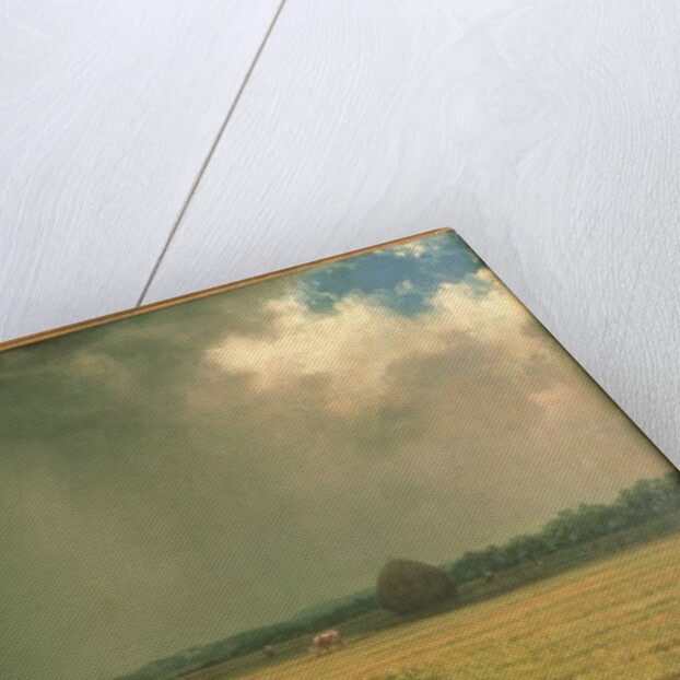 Salt Marsh Hay, c.1865 by Martin Johnson Heade