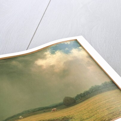 Salt Marsh Hay, c.1865 by Martin Johnson Heade