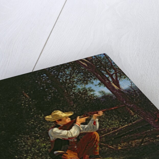 Drawing a Bead on a Woodchuck by William M Davis