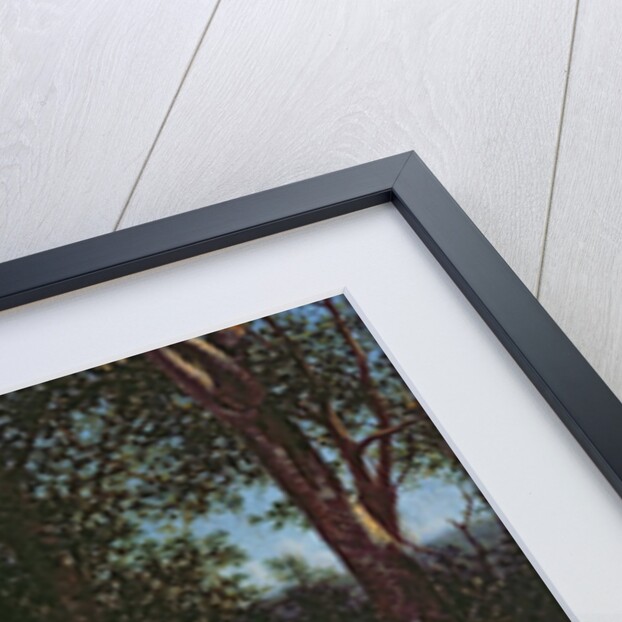 Drawing a Bead on a Woodchuck by William M Davis