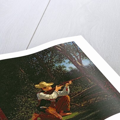 Drawing a Bead on a Woodchuck by William M Davis