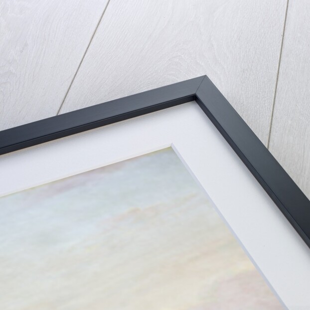 Euphrasia by Samuel Walters