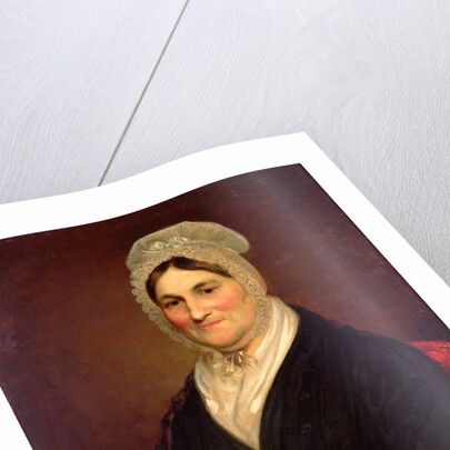 The Lace Cap by Samuel Finley Breese Morse