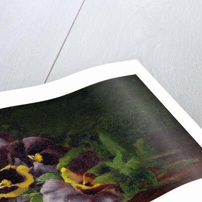 Pansies by Claude Raguet Hirst