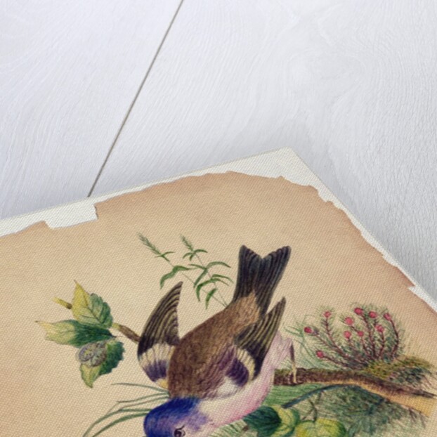 Bluebird on a Branch, 1871 by Claude Raguet Hirst