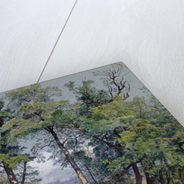 Coppet, Lake Geneva, 1880 by William Stanley Haseltine