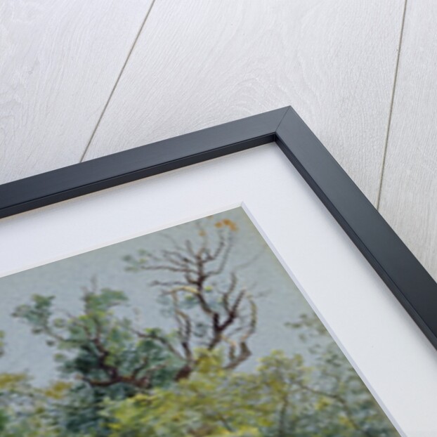 Coppet, Lake Geneva, 1880 by William Stanley Haseltine