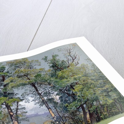 Coppet, Lake Geneva, 1880 by William Stanley Haseltine