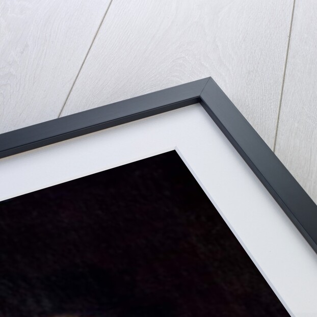 Self Portrait by Claude Lorrain (1600-82)