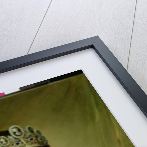 Portrait of Elisa Baciocchi c.1812 by Joseph Franque