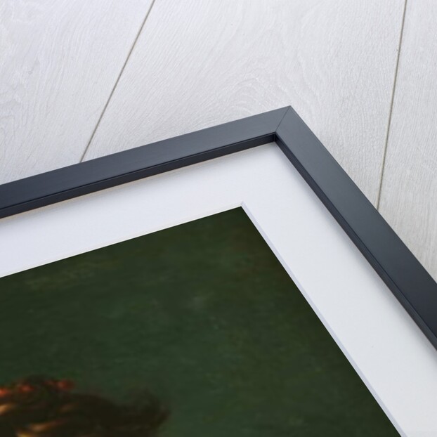 Portrait of Napoleone Baciocchi 1812 by Francois Xavier Fabre