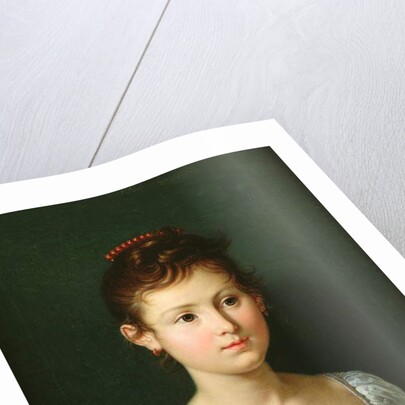 Portrait of Napoleone Baciocchi 1812 by Francois Xavier Fabre