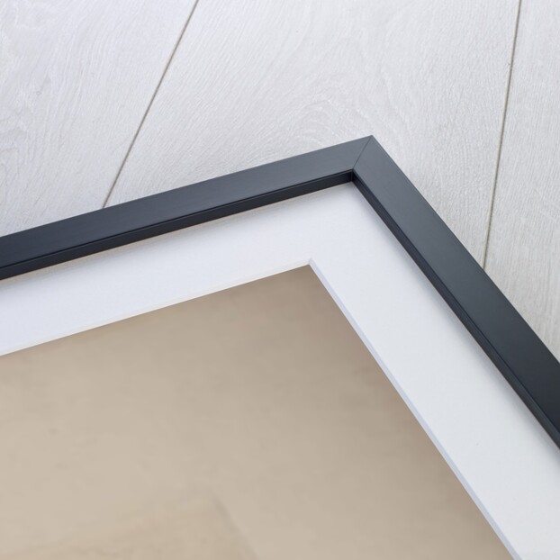 Tomb of Felix and Elisa Baciocchi, San Petronio Basilica, Bologna, c.1900-20 by French School