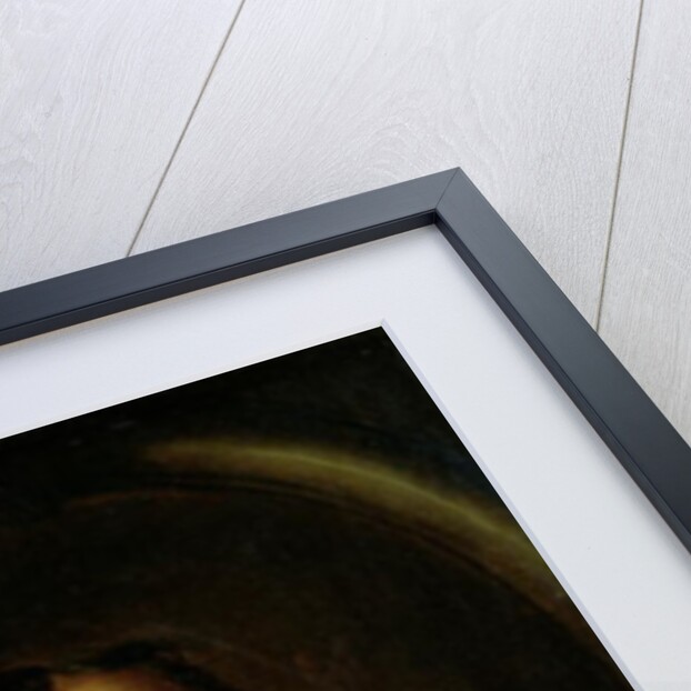 Portrait of Oliver Cromwell by Peter (after) Lely