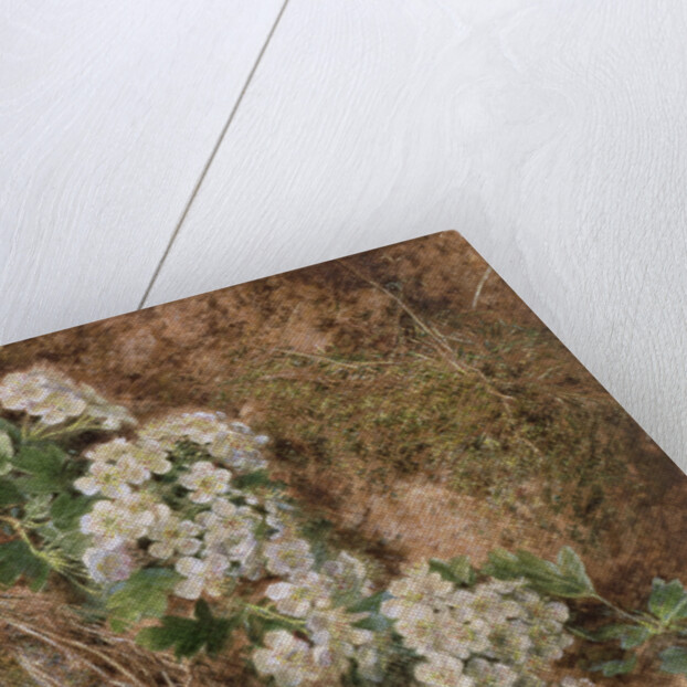 May Blossom and a Hedge Sparrow's Nest, 1845 by William Henry Hunt