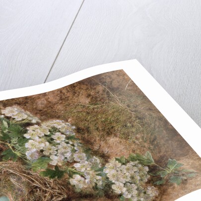 May Blossom and a Hedge Sparrow's Nest, 1845 by William Henry Hunt