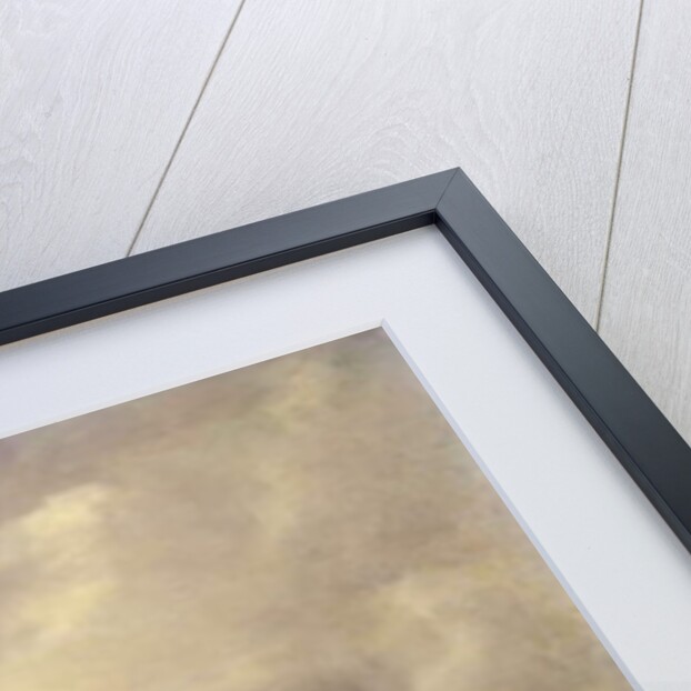 Battle of Lutzen by Palamedes Palamedesz