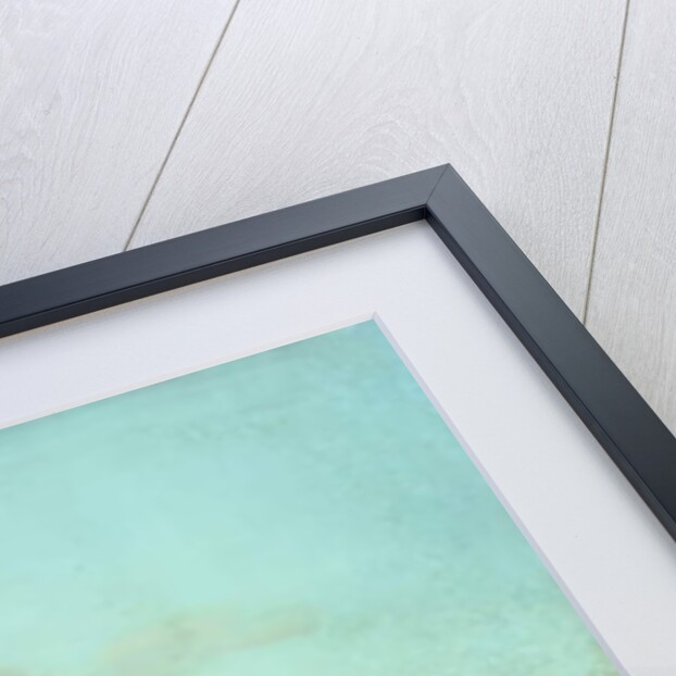 La Villa Reale by Italian School