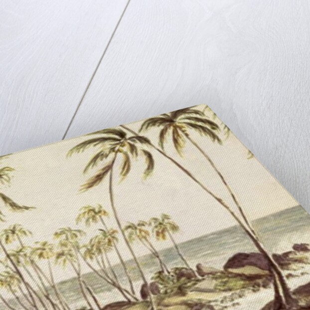 Kosgoda Beach, Ceylon, c.1835 by English School