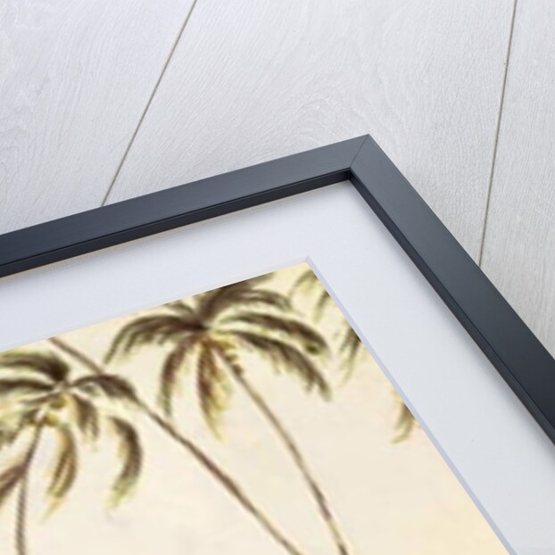 Kosgoda Beach, Ceylon, c.1835 by English School