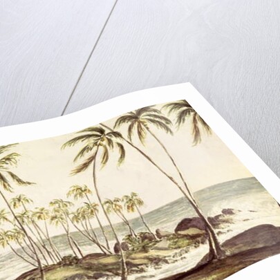 Kosgoda Beach, Ceylon, c.1835 by English School