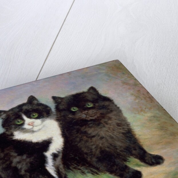 A Pair of Pussy Cats by Lilian Cheviot