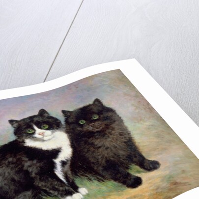 A Pair of Pussy Cats by Lilian Cheviot