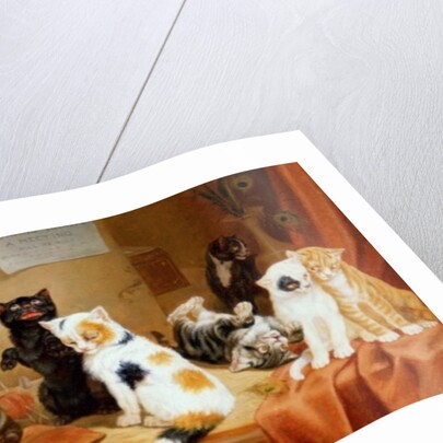 Women's Rights - A Meeting, 1885 by William Henry Hamilton Trood