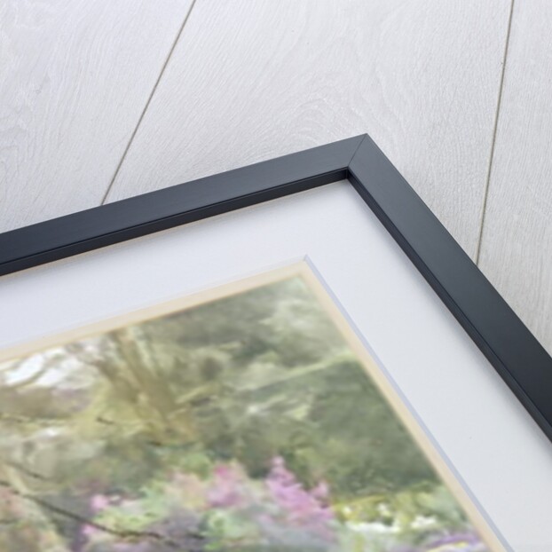 A Bypath by Mildred Anne Butler