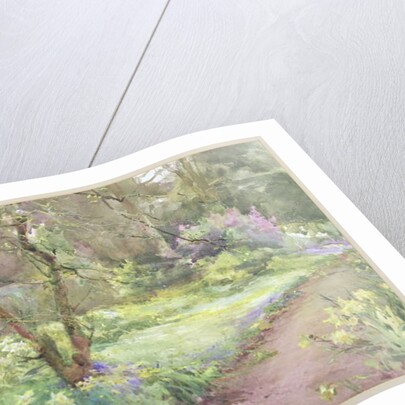 A Bypath by Mildred Anne Butler