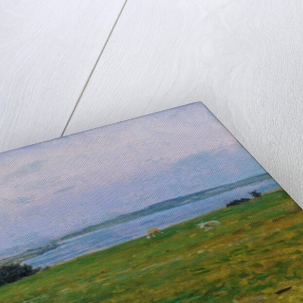 Sheep Grazing, Osterby, Skagen by Viggo Johansen