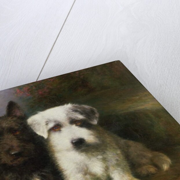 A Scottish and a Sealyham Terrier by Lilian Cheviot