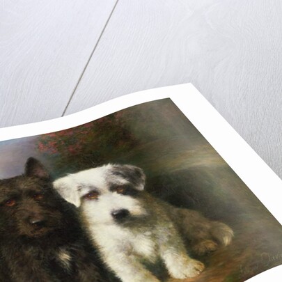 A Scottish and a Sealyham Terrier by Lilian Cheviot
